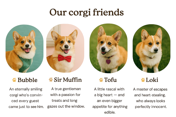 představení pejsků